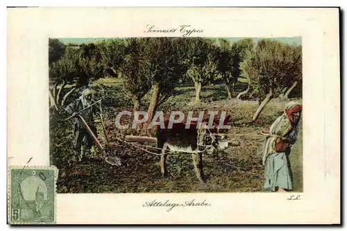 Cartes postales Scenes et Types Attelage Arabe Ane Mule