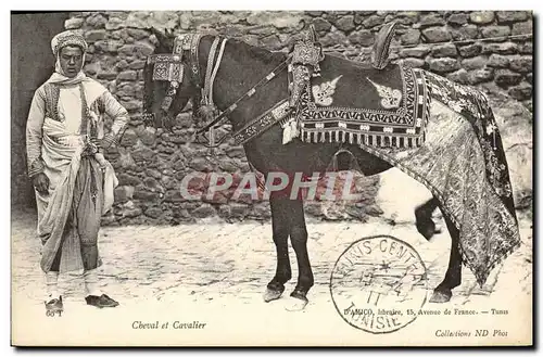 Cartes postales Cheval Et Cavalier TOP Tunisie