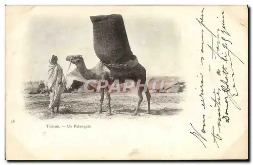 Cartes postales Tunisie Un Palanquin Chameau