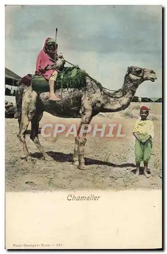 Cartes postales Chamelier Chameau