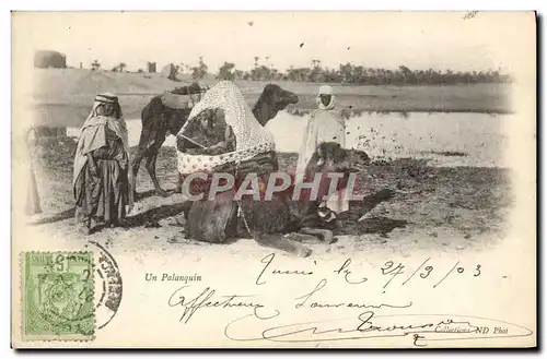 Cartes postales Un Palanquin Chameau Femmes