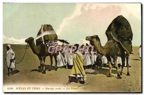 Cartes postales Scenes Et Types Mariage Arabe Les fiances Chameaux