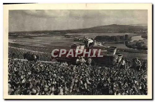 Cartes postales Scene de Vendange a Hautvillers Moet et Chandon