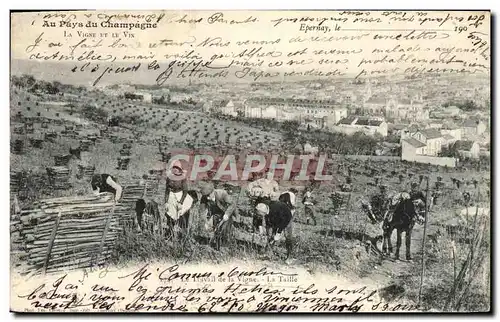 Ansichtskarte AK Au Pays Du Champagne Le travail de la vigne TOP