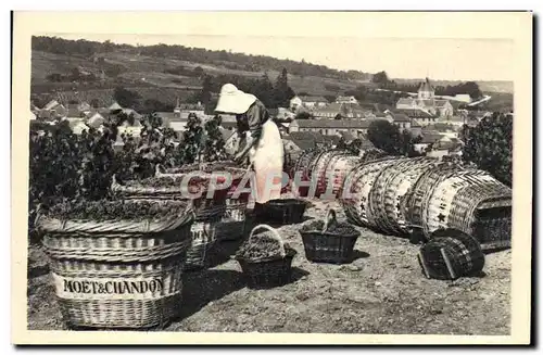 Cartes postales Scene De Vendange Le Mesnil Sur Orger Moet et chandon Champagne