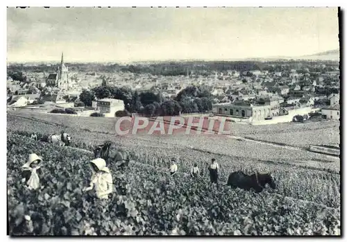 Cartes postales Champagne Pommery Greno Reims Ay vue generale Premier cru de raisins noirs