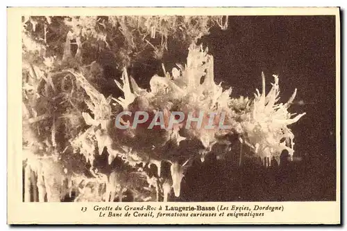 Ansichtskarte AK Grotte Du Grand Roc A Laugerie Basse Le Banc De Corail Formations Curieuses Et Enignatiques