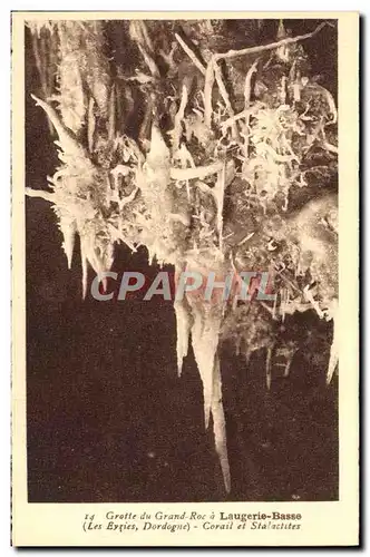 Cartes postales Grotte Du Grand Roc A Laugerie Basse Corail Et Stalactites