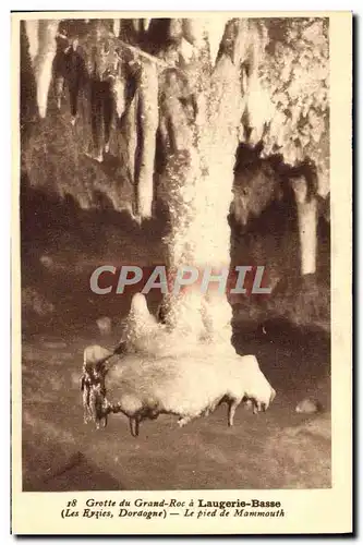 Ansichtskarte AK Grotte Du Grand Roc A Laugerie Basse Le Pied De Mammouth Les Eyzies