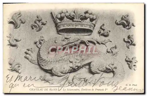 Cartes postales Chateau De Blois La Salamandre Embleme de Francois 1er