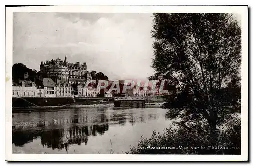 Cartes postales Amboise Vue sur le Chateau