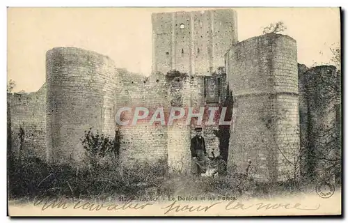 Ansichtskarte AK Loches Le Donjon Et les Fosses