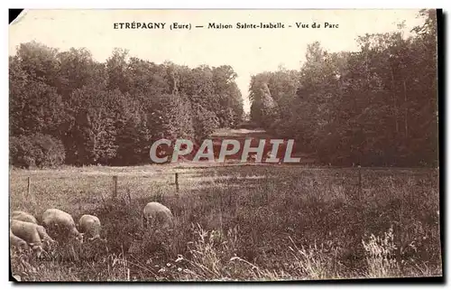 Cartes postales Etrepagny Maison Sainte Isabelle Vue de Parc Moutons