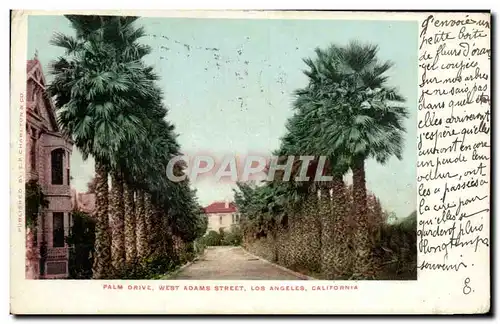 Cartes postales Palm Drive West Adams Street Los Angeles California