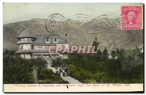 Cartes postales Picking Flowers At Pasadena And The Snow Eight Feet Deep On Mt Wilson Cal