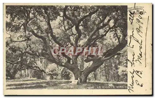 Cartes postales Greetings From University Of California Le Conte oak