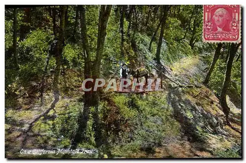 Cartes postales On A California Mountain Trail