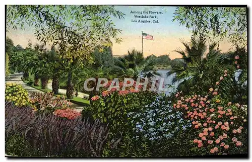 Cartes postales Among The Flowers Weslake Park Los Angeles Cal