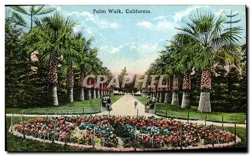 Cartes postales Palm Walk California