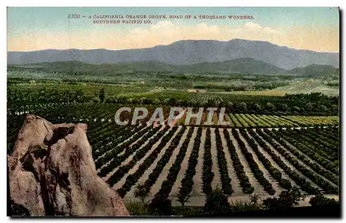 Ansichtskarte AK A California Orange Grove Road Of A Thousand Wonders Southern Pacific Co