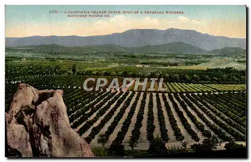 Cartes postales A California Orange Grove Road Of A Thousand Wonders Southern Pacific Co