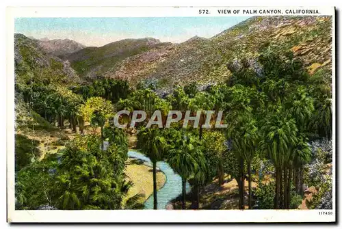 Cartes postales View Of Palm Canyon California