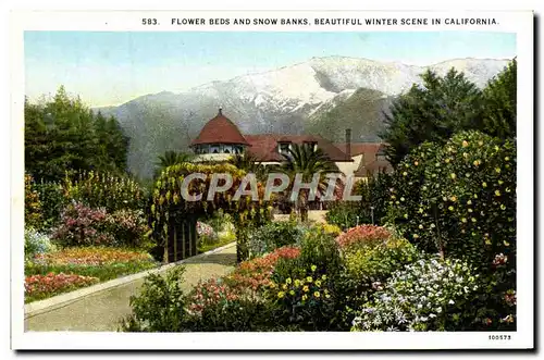 Ansichtskarte AK Flower Beds And Show Banks Beautiful Winter Scene In California