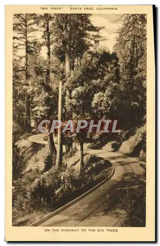 Cartes postales Santa Cruz California On The Highway To The Big Trees