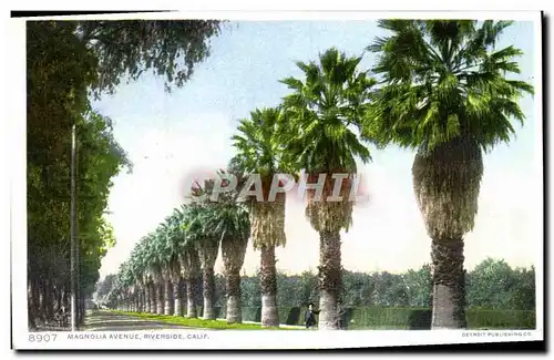 Cartes postales Magnolia Avenue Riverside Calif