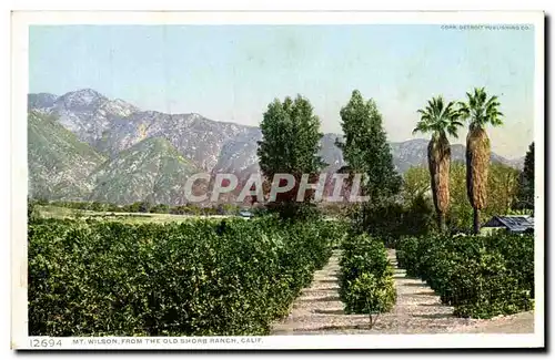 Cartes postales Mt Wilson From The Old Shorb Ranch Calif
