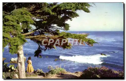 Cartes postales moderne California