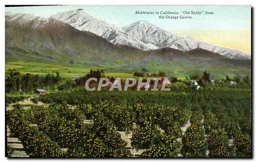 Cartes postales Midwinter In California Old Baldy From The Orange Groves