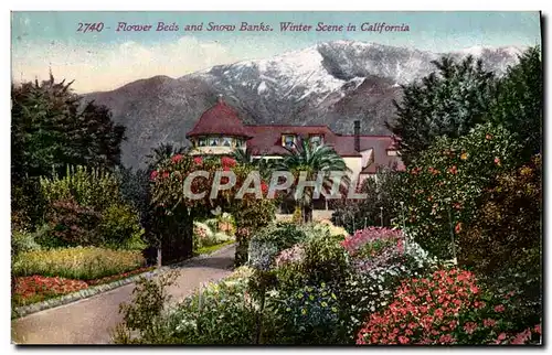 Cartes postales Flower Beds And Snow Banks Winter Scene In California