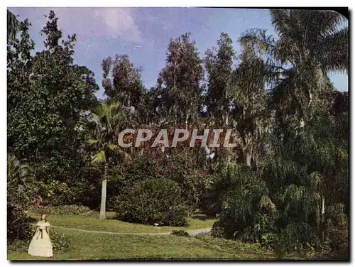 Cartes postales moderne Beautiful Cypress Gardens Florida