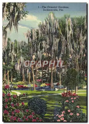 Cartes postales The Oriental Gardens Jacksonville Fla