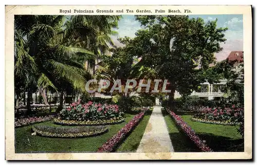 Ansichtskarte AK Royal Poinciana Grounds And Tea Garden Palm Beach Fla