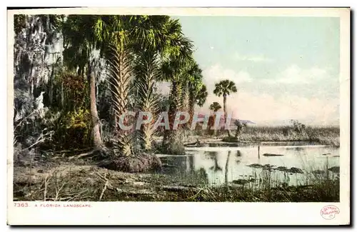 Cartes postales A Florida Landscape