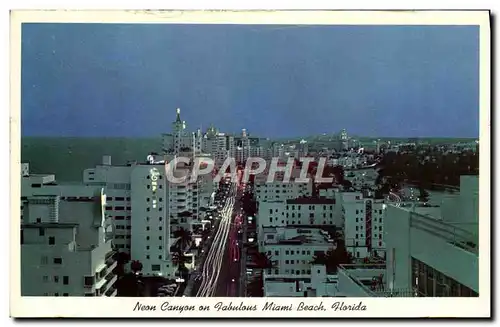 Cartes postales Neon Canyon On Falslous Miami Beach Florida
