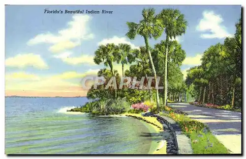 Cartes postales Florida&#39s Beautiful Indian River