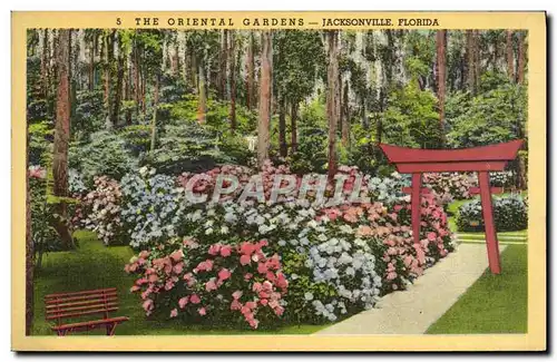 Cartes postales The Oriental Gardens Jacksonville Florida