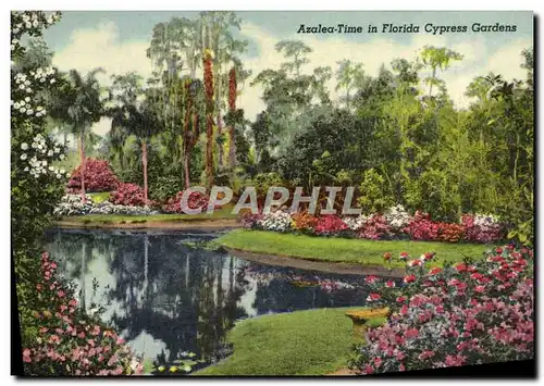 Cartes postales Azalea Time In Florida Cypress Gardens