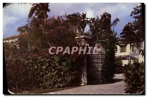 Cartes postales On Pine Tree Drive Miami Beach Fla Koduchrome By Hannau