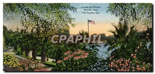 Cartes postales Among The Flowers Westlake Park Los Angeles Cal