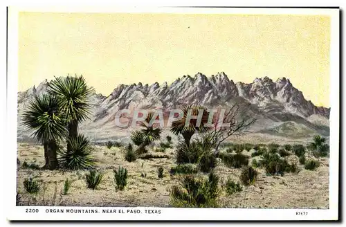 Ansichtskarte AK Organ Mountains Near El Paso Texas