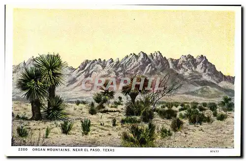 Cartes postales Organ Mountains Near El Paso Texas
