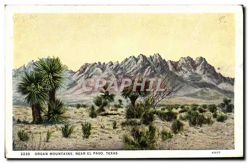 Ansichtskarte AK Organ Mountains Near El Paso Texas