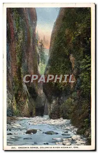 Ansichtskarte AK Oneonta Gorge Columeia River Highway Ore