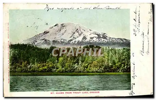 Ansichtskarte AK Mt Adams From Trout Laks Oregon
