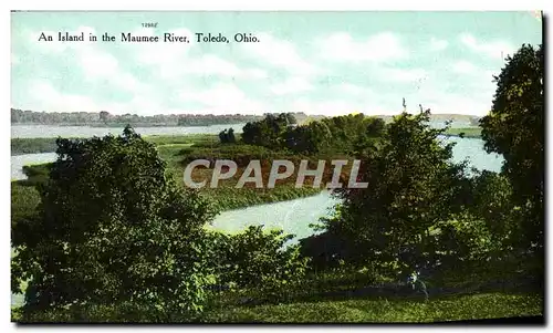 Ansichtskarte AK An Island In the Maumee River Toledo Ohio