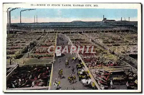 Cartes postales Scene in Sock Yards Kansas City Mo